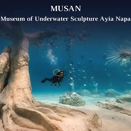 Vivo Mare Beachfront - Seashell Βίλα *