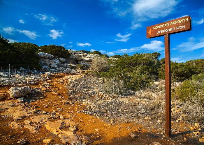 Vivo Mare Beachfront - Seashell Вилла